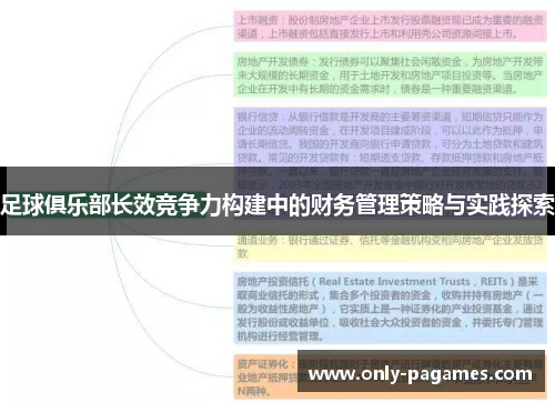 足球俱乐部长效竞争力构建中的财务管理策略与实践探索