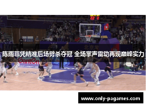 陈雨菲凭精准后场劈杀夺冠 全场掌声雷动再现巅峰实力